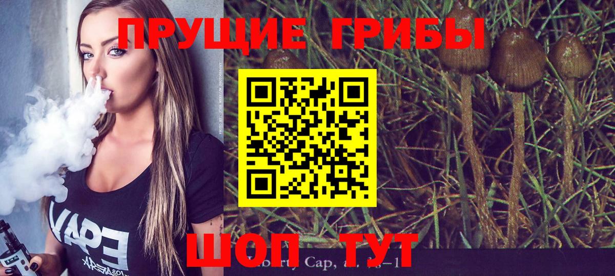 Псилоцибиновые грибы мухоморы Черняховск