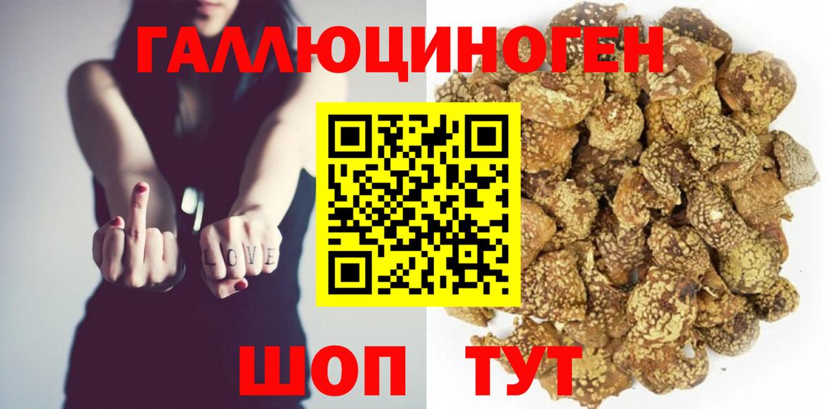 Галлюциногенные грибы мицелий  Вход с VPN  Черняховск 